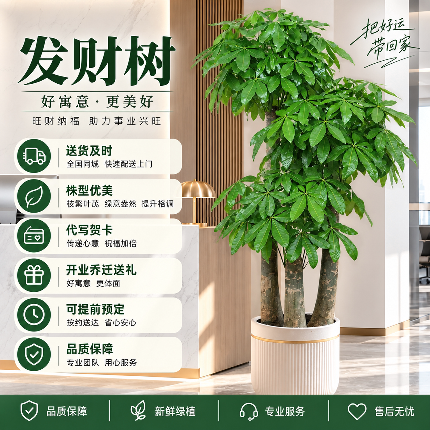 步步高发财树盆栽同城配送北京上海开业大绿植办公室内摆客厅乔迁
