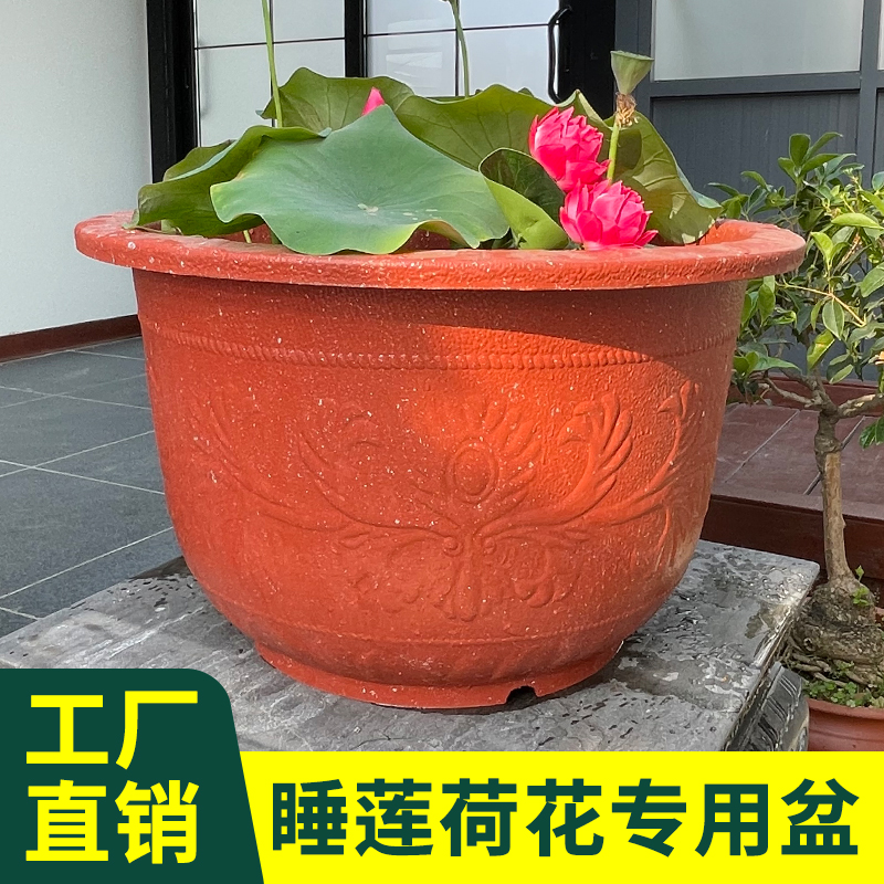 特大号水培荷花养鱼盆塑料