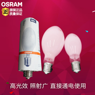 OSRAM欧司朗高压汞灯HWL诱虫灯125W/250w/500w涂粉GYZ自镇流汞灯