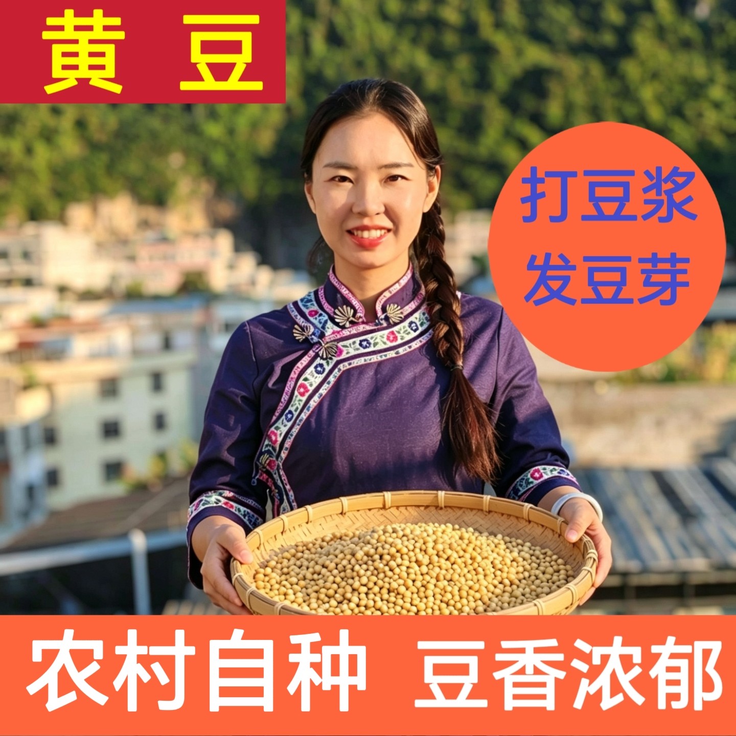 新豆黄豆长寿乡农村自种无添加笨黄豆豆浆老品种非转基因小黄豆