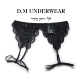 配件丁字裤 D.M男内裤 性感情趣蕾丝网眼个性 透气吊带套腿诱惑镂空
