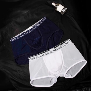 青年夏运动****商务 低腰网眼网纱透气****透明四角裤 D.M男士 内裤