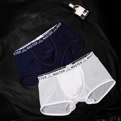 D.M男士内裤低腰网眼网纱透气情趣透明四角裤青年夏运动情趣商务