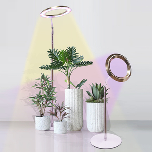 植物生长灯LED天使环大光环PRO全光谱多肉补光室内植物新品补光灯