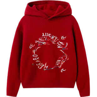 【premium】巴拉巴拉童装儿童毛衣男童2025春秋装连帽式毛衫上衣