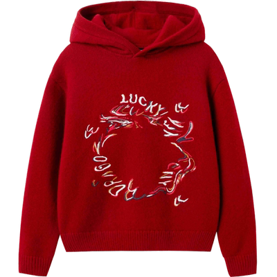 巴拉巴拉新年系列连帽式毛衫男