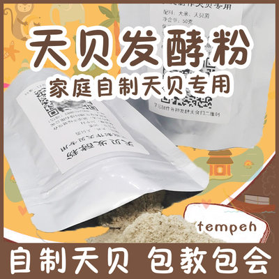 天贝发酵粉小包装自制tempeh家庭制作印尼丹贝菌