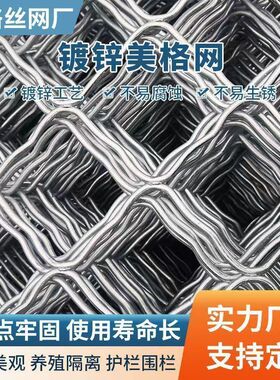 镀锌铁丝网围栏防护美格加粗护栏网格网片格网养殖铁网钢丝网焊接