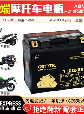 YTX12-BS赛科龙RT3S三阳九妹夫F300无极春风400650NK赛艇S350电瓶