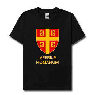 拜占庭帝国Byzantine Empire东罗马短袖T恤男女历史衣服夏设 无界