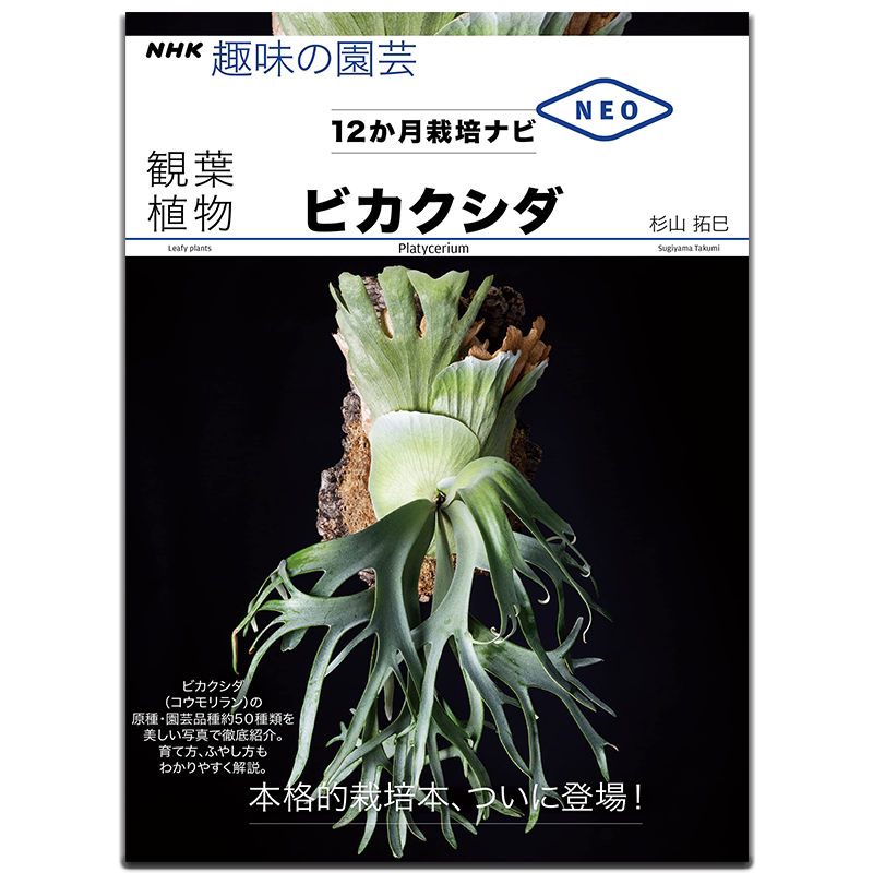 【现货】蝙蝠兰花科种植栽培观叶书 ビカクシダ NHK趣味の園芸 観葉植物
