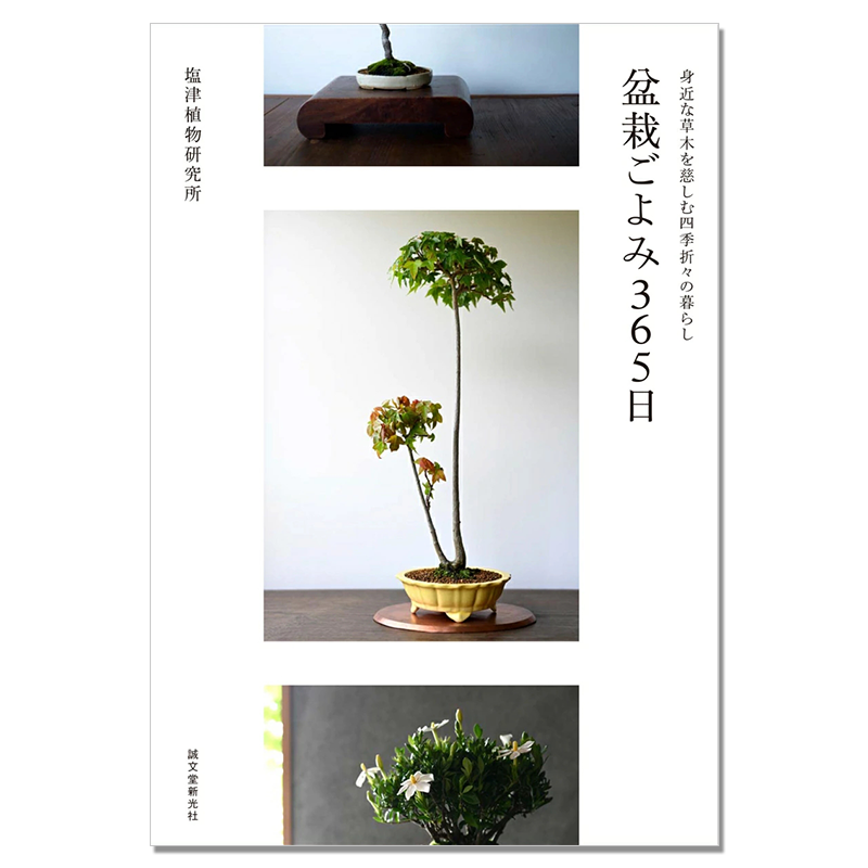 【现货】盆栽种植阅读365天 草木四季不同的生活 盆栽ごよみ365日: 身近な草木を慈しむ四季折々の暮らし 塩津植物研究所