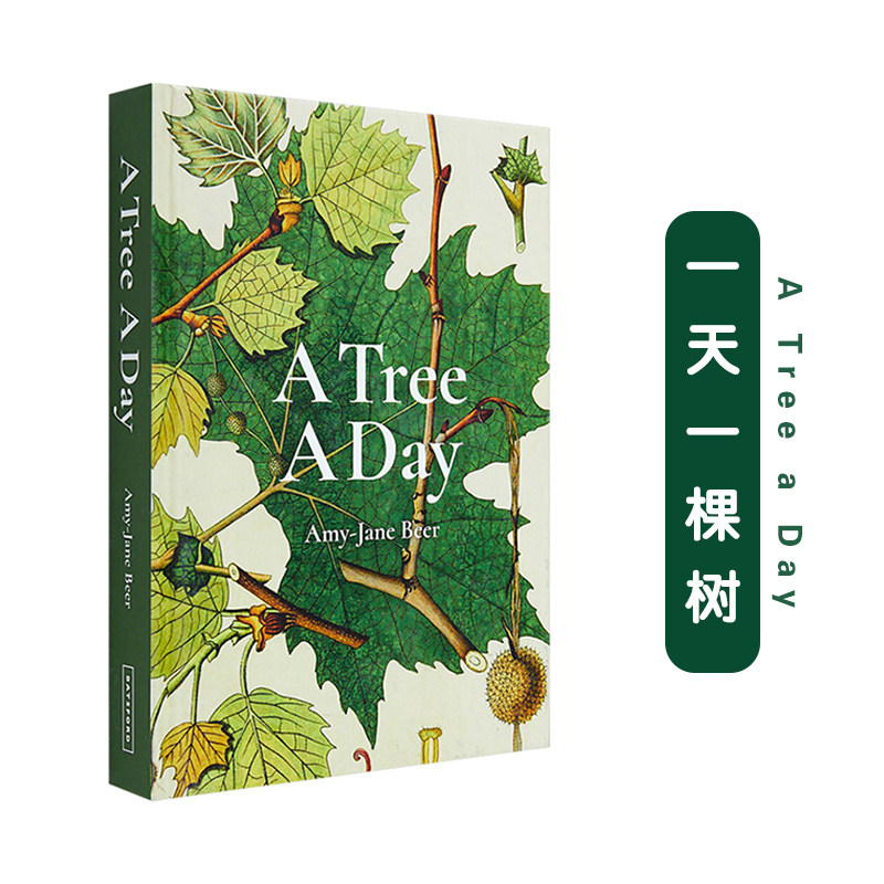 【现货】a tree a day 一天一棵树 自然植物百科科普图集 树木品种