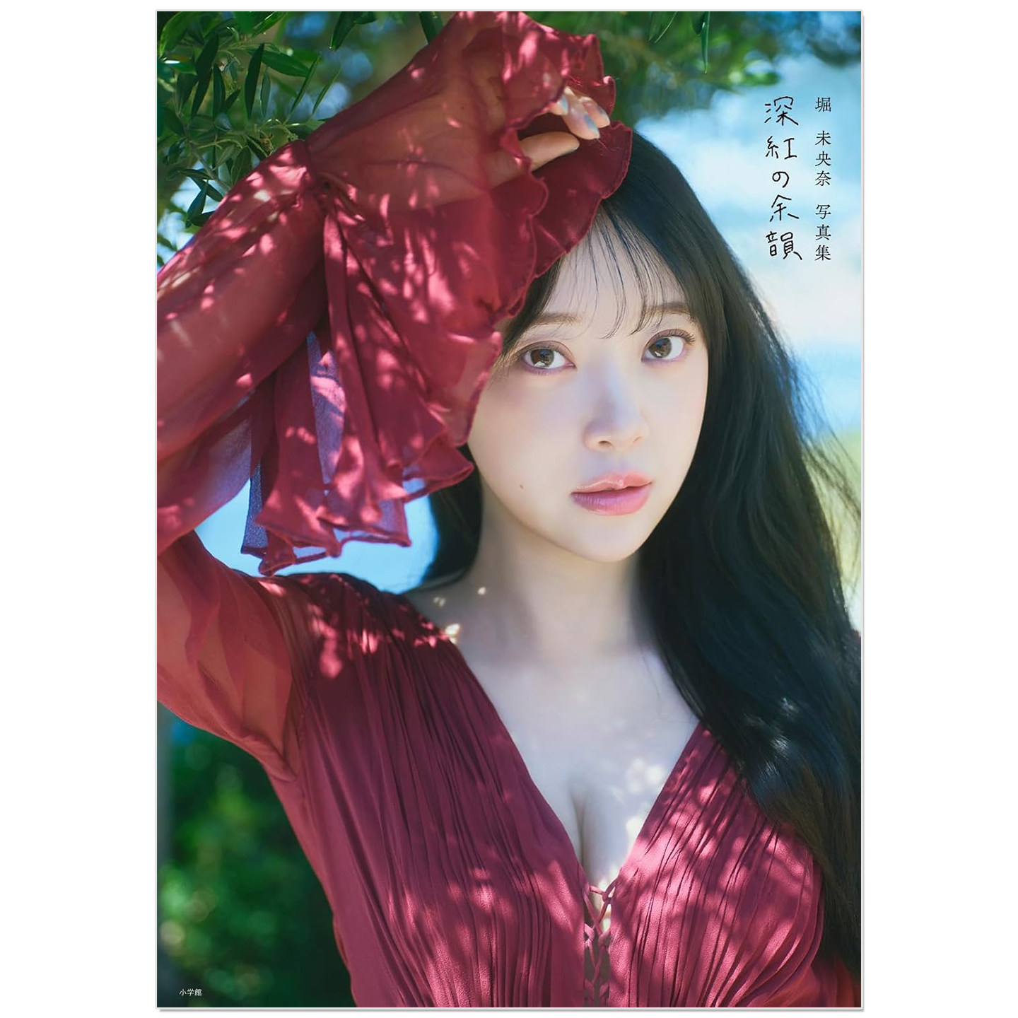 预售 堀未央奈写真集 深紅の余韻 歌手演员模特Hori Miona 30岁生日纪念写真集 乃木坂46 小学館