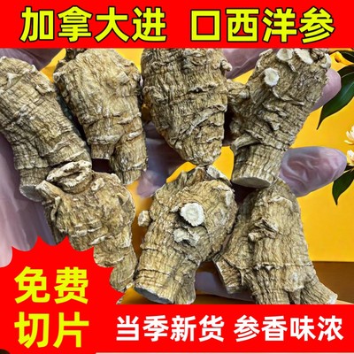 加拿大原装进口粒头花旗参