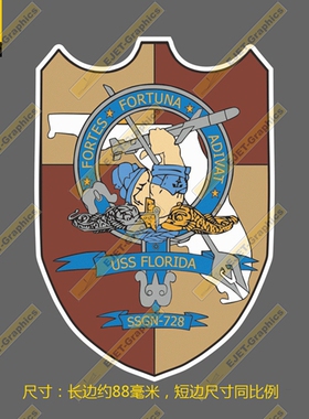 SSGN-728 弗罗里达号巡航导弹核潜艇 徽章 车贴/贴纸/行李箱贴