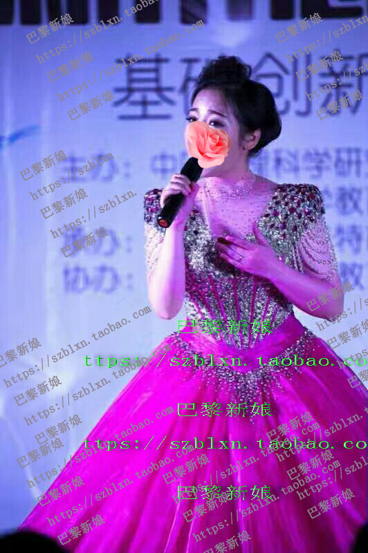 2025新款玫红肉色立领显瘦短袖流苏显瘦蓬蓬裙音乐会演出演唱礼服