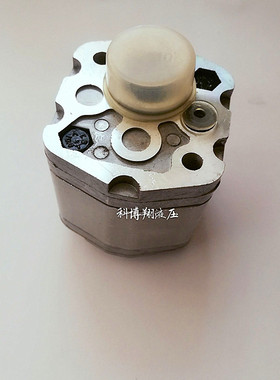 SDH上海大众微型齿轮泵液压泵 高压泵 CBDa-F10.16L1B-BA油泵