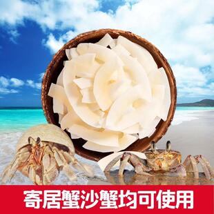 寄居蟹食物饲料脱水冻干高钙无糖天然椰子片爬宠专用椰干椰丝蟹粮