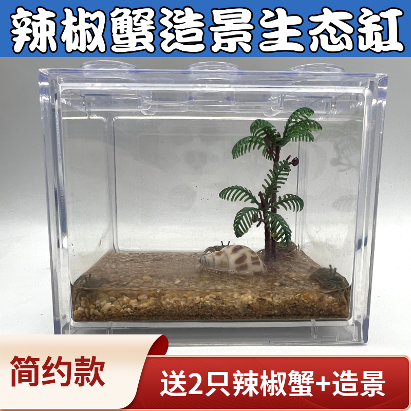 生态缸饲养缸性价比高送饲料