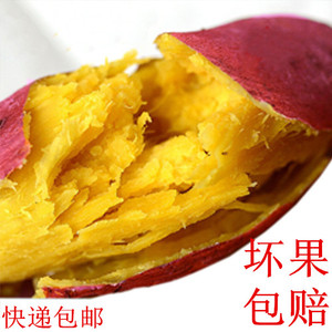 六鳌沙地红薯一点红红小红薯新鲜红心地瓜现挖红蜜薯番薯山芋 5斤
