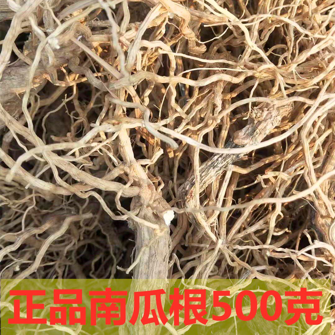 正品南瓜根当年新货纯根部 新鲜晒干狼瓜根大山 南瓜根根须野南瓜