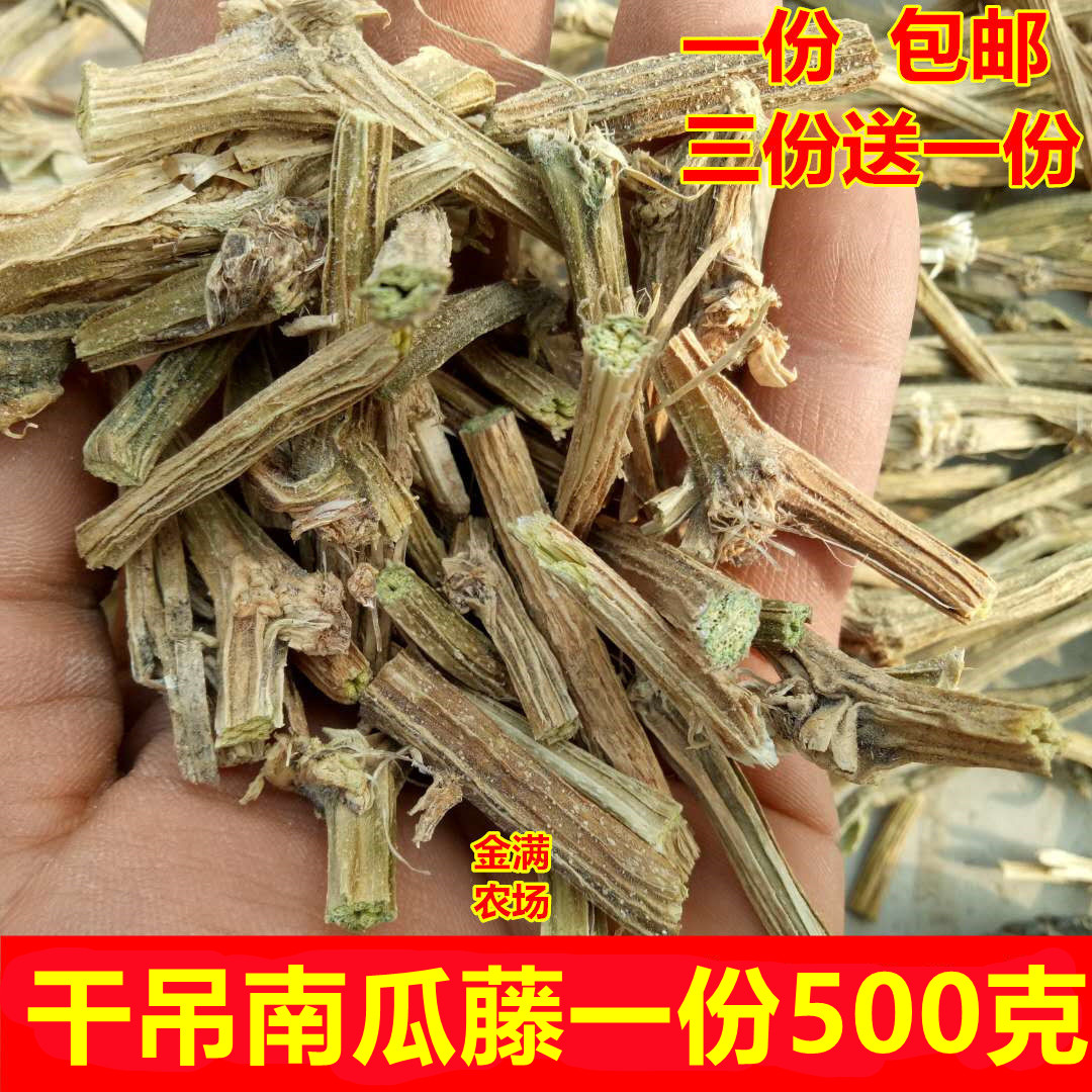 南瓜藤霜打干净无霉变初级农产品