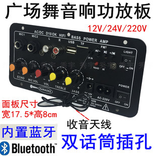 D10广场舞音响功放 内置蓝牙收音双话筒插孔12V24V220V扩音机主板