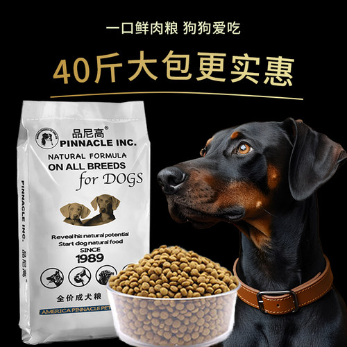 成犬萨摩耶哈士奇边牧幼犬包邮