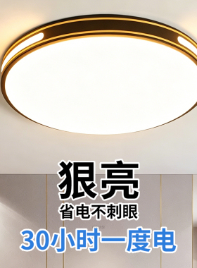 led吸顶灯阳台走廊灯现代简约客厅灯大气卧室房间灯中山全屋灯具