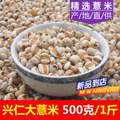 新货兴仁薏米仁 食用农产品大意米 薏米500g 1斤 当季 新货