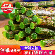 新鲜霍山铁皮石斛500g石斛鲜条深山种植特级枫斗花茶苗干粉中药材