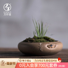 万仟堂陶瓷迷你小花插桌面小花器摆件茶道日式花插十二花季花插