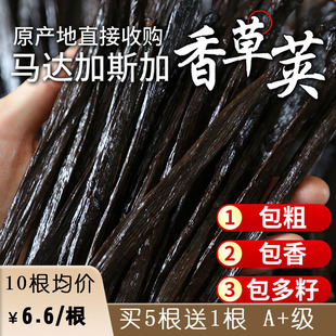 香草荚烘焙马达加斯加香草精烘培含籽兰夹天然豆荚大溪地香草膏豆