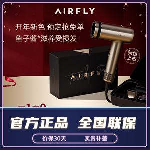 AIRFLY保时捷高速吹风家用负离子