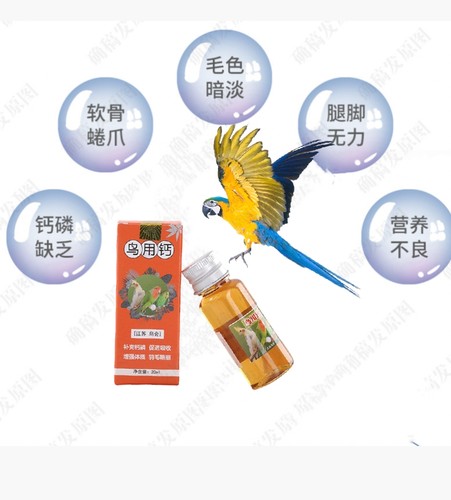 鹦鹉鸟类玄凤牡丹虎皮鸟类日常补充液体生长钙磷维生素促生长发育
