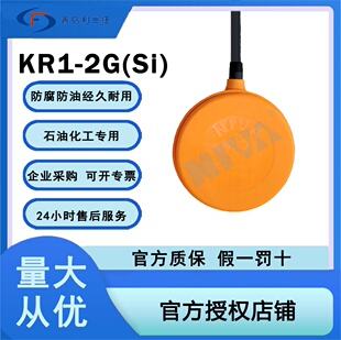 NIVA正品 电缆浮球液位计开关供排水泵传感器重油污排污KR1
