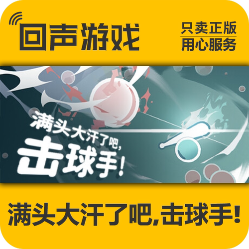 Steam正版满头大汗了吧击球手CDK