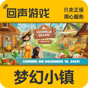 Steam正版国区key 梦幻小镇 Everdream Village 激活码入库 秒发