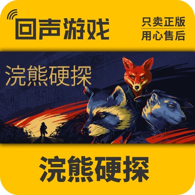 浣熊硬探steam国区激活码游戏