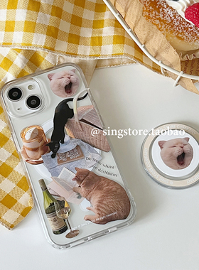 SINGSTORE 韩国ins小众设计慵懒猫咪插画磁吸支架适用iphone17苹果16手机壳15promax新款透明亚克力13/14硅胶