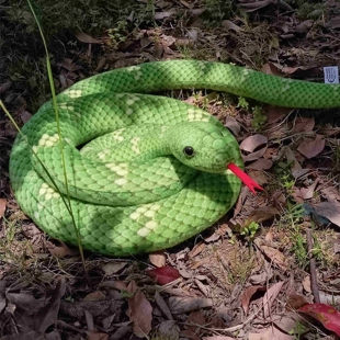 仿真大蟒蛇公仔绿树蟒玩偶超逼真大蛇道具水蚺布娃娃恶搞礼物玩具