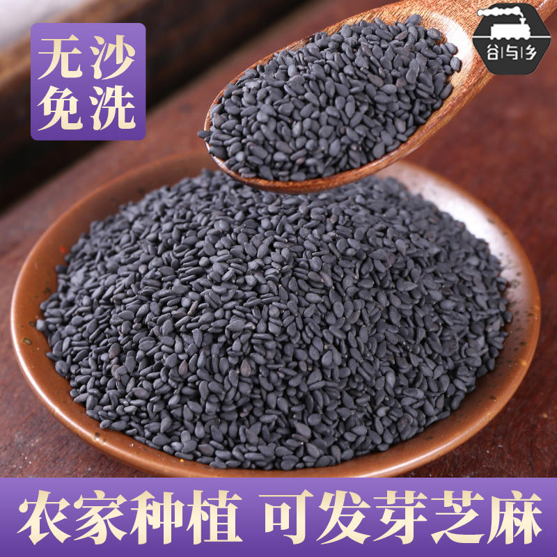 农家黑芝麻可发芽非炒熟500g