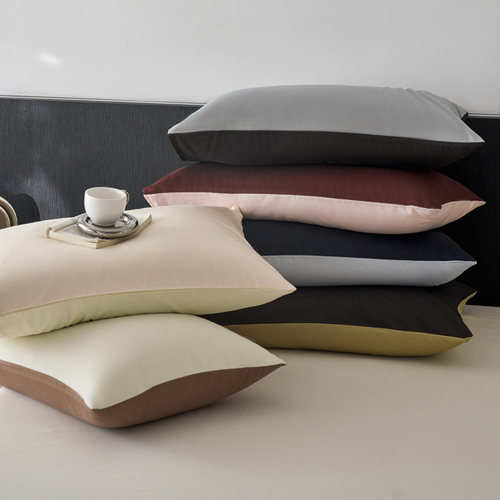 秋冬新品保暖亲肤天丝枕套4874cm