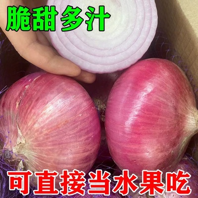 新鲜现挖水果紫皮洋葱9斤