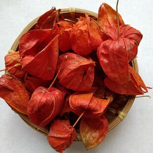 红姑娘果皮500克 无硫中药材 野生锦灯笼挂金灯苦姑娘