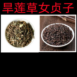 中药材女贞子和墨旱莲组合500g泡茶旱莲草旱墨莲女贞子