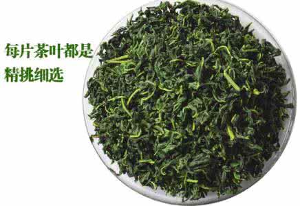 霜后桑叶茶纯桑葚叶干桑叶纯天然冬桑叶新货特级500克包邮
