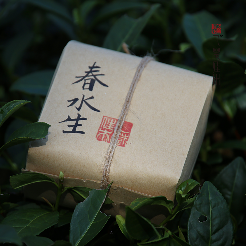 2026年春水生 群体种武夷菜茶 头采高山野茶绿茶 100克 乙楚佳木