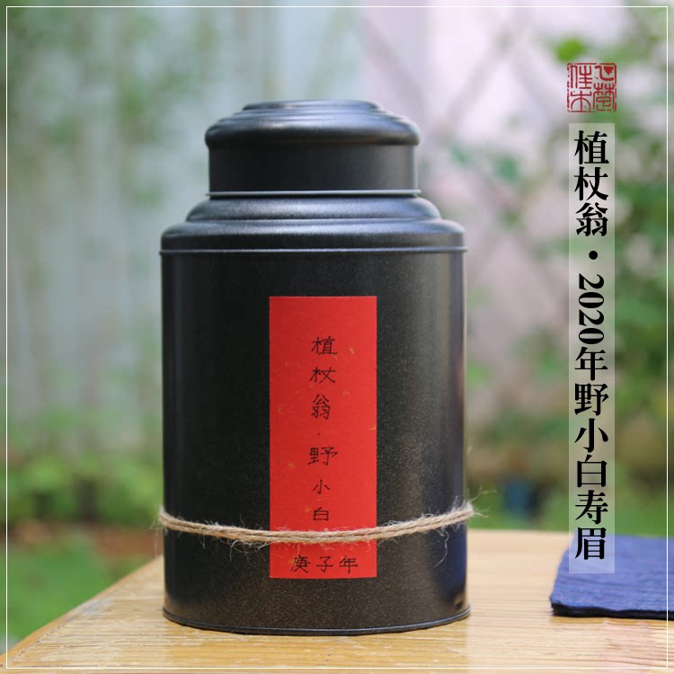 乙楚佳木建阳白茶野小白寿眉